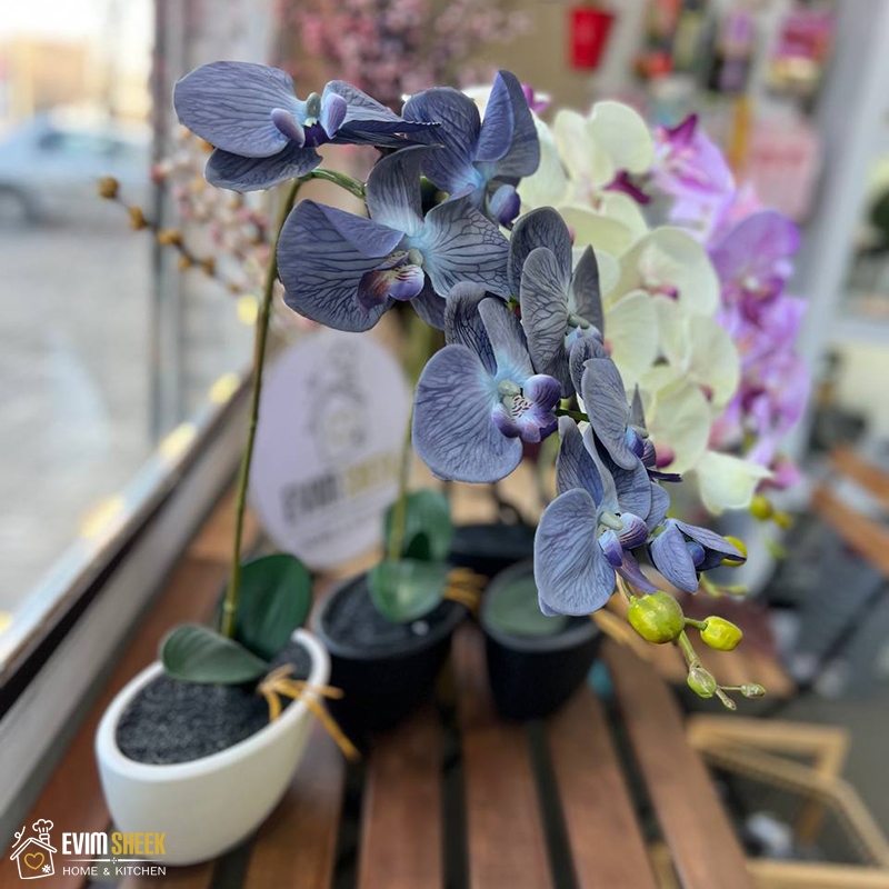 گلدان ارکیده مدل F