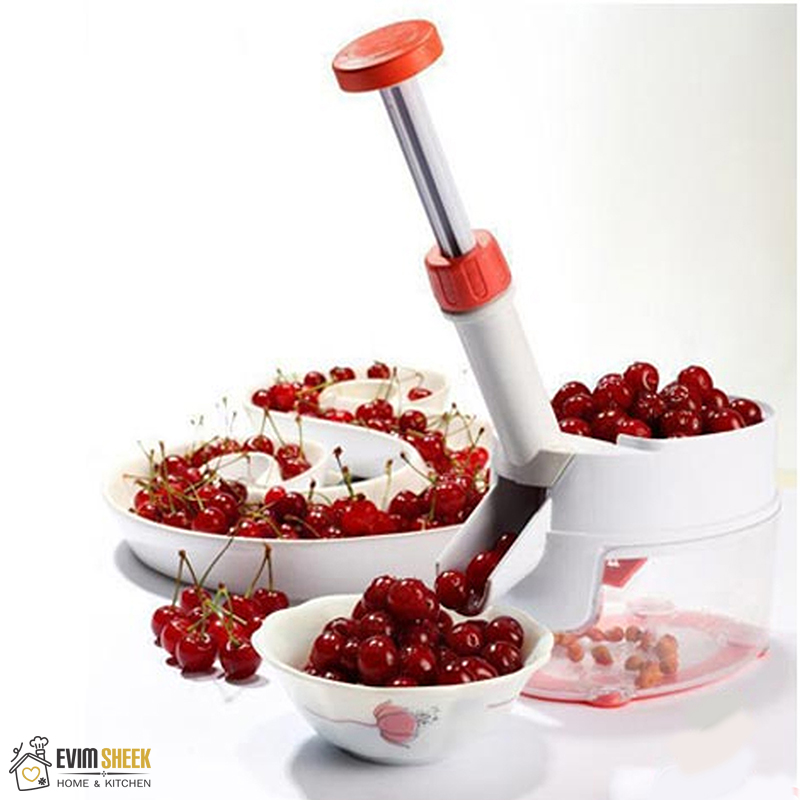 هسته گیر آلبالو تکتا