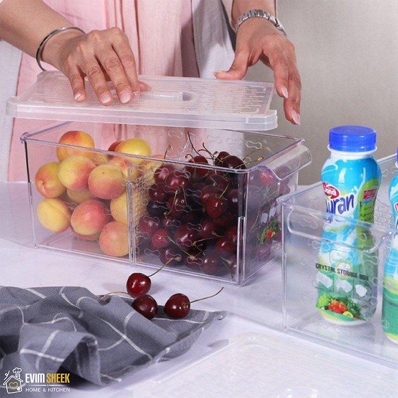 نظم دهنده یخچال