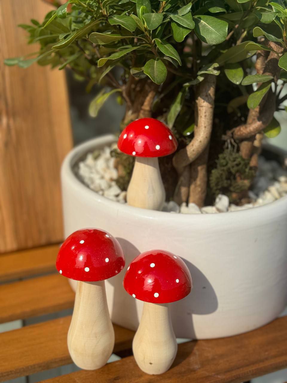 قارچ دکوری چوبی ست 3 عددی