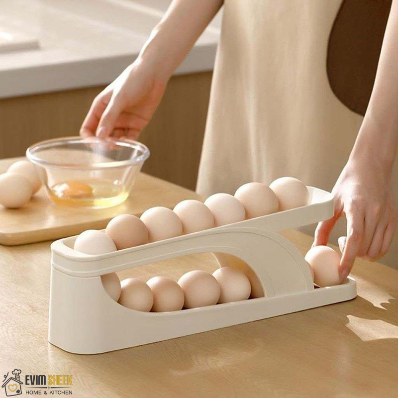 جا تخم مرغی ریلی