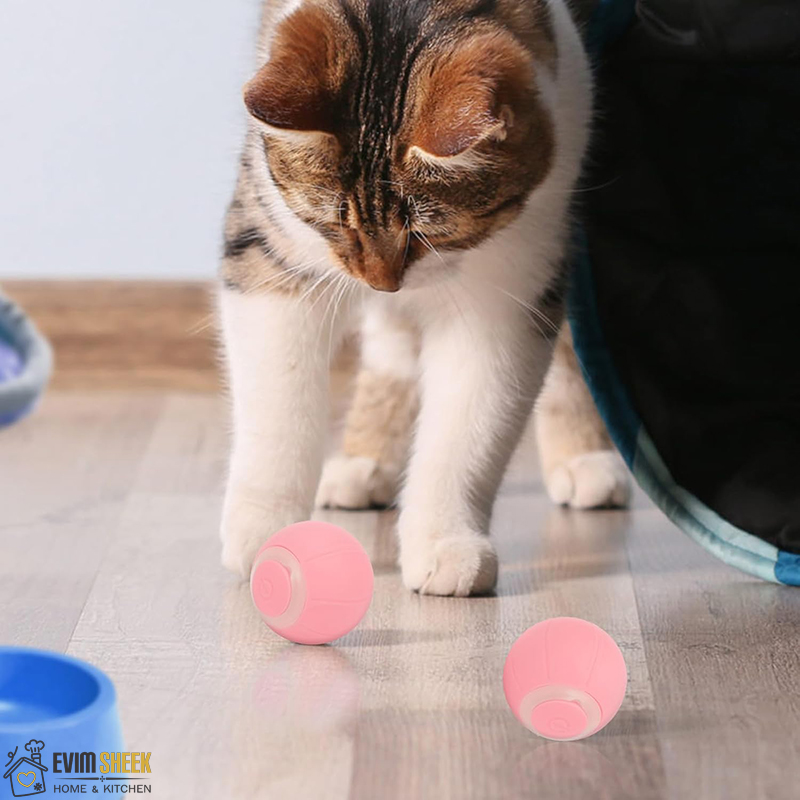 توپ هوشمند حیوانات