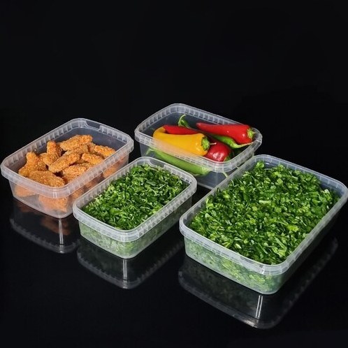 ظرف فریزری 2000 سی‌سی