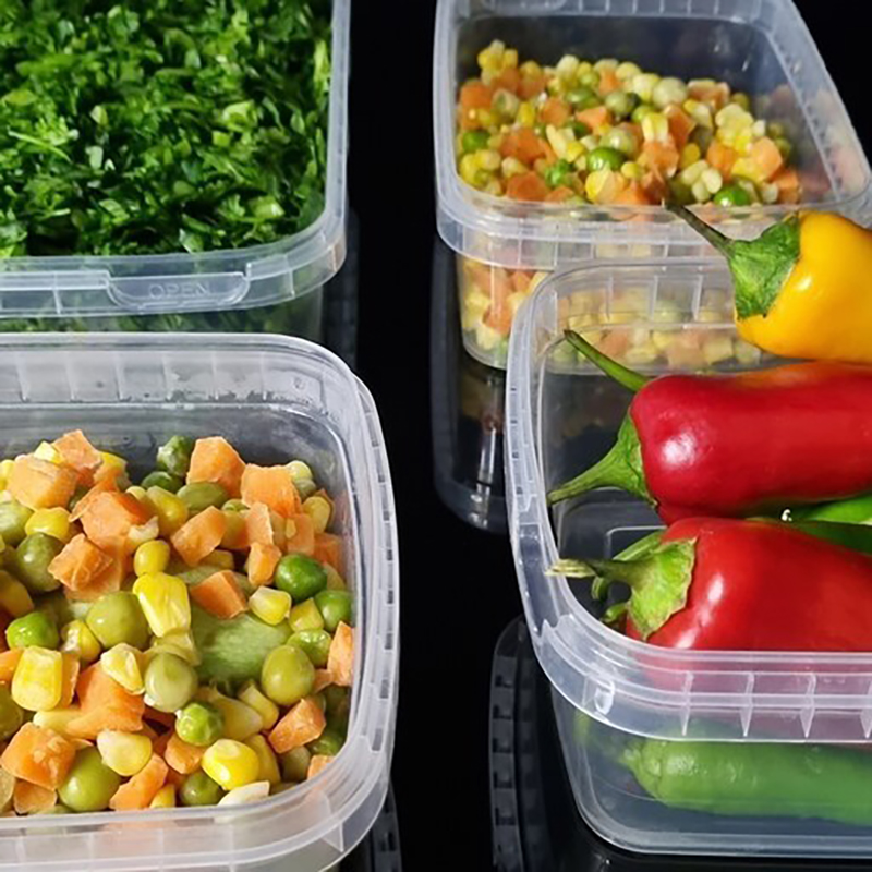 ظرف فریزری 1000 سی‌سی