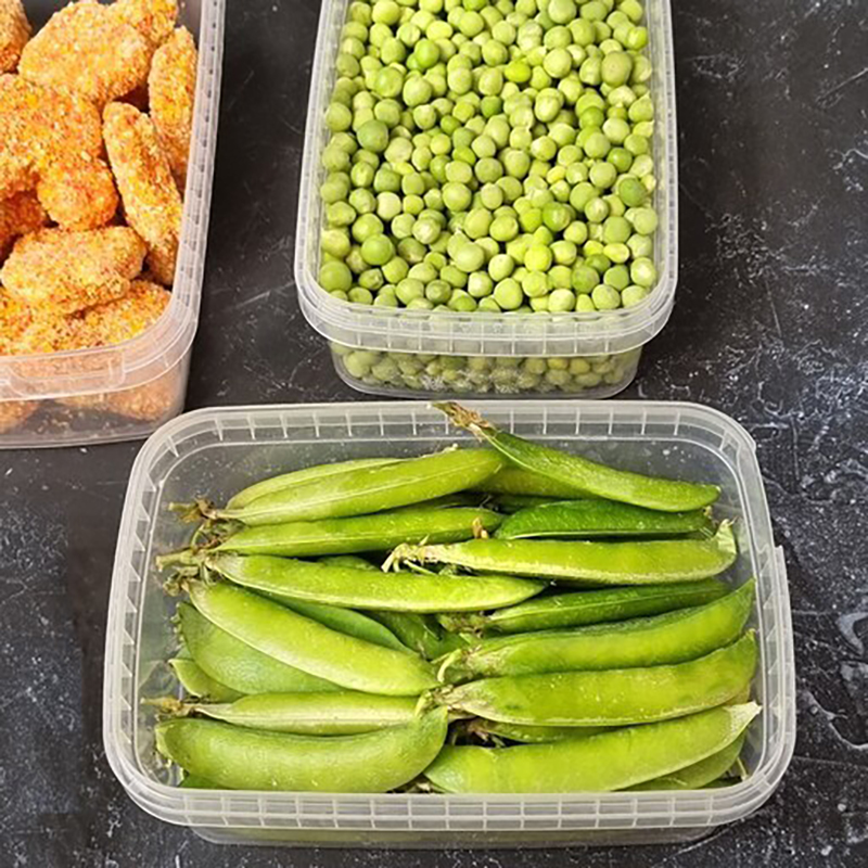 ظرف فریزری 1000 سی‌سی